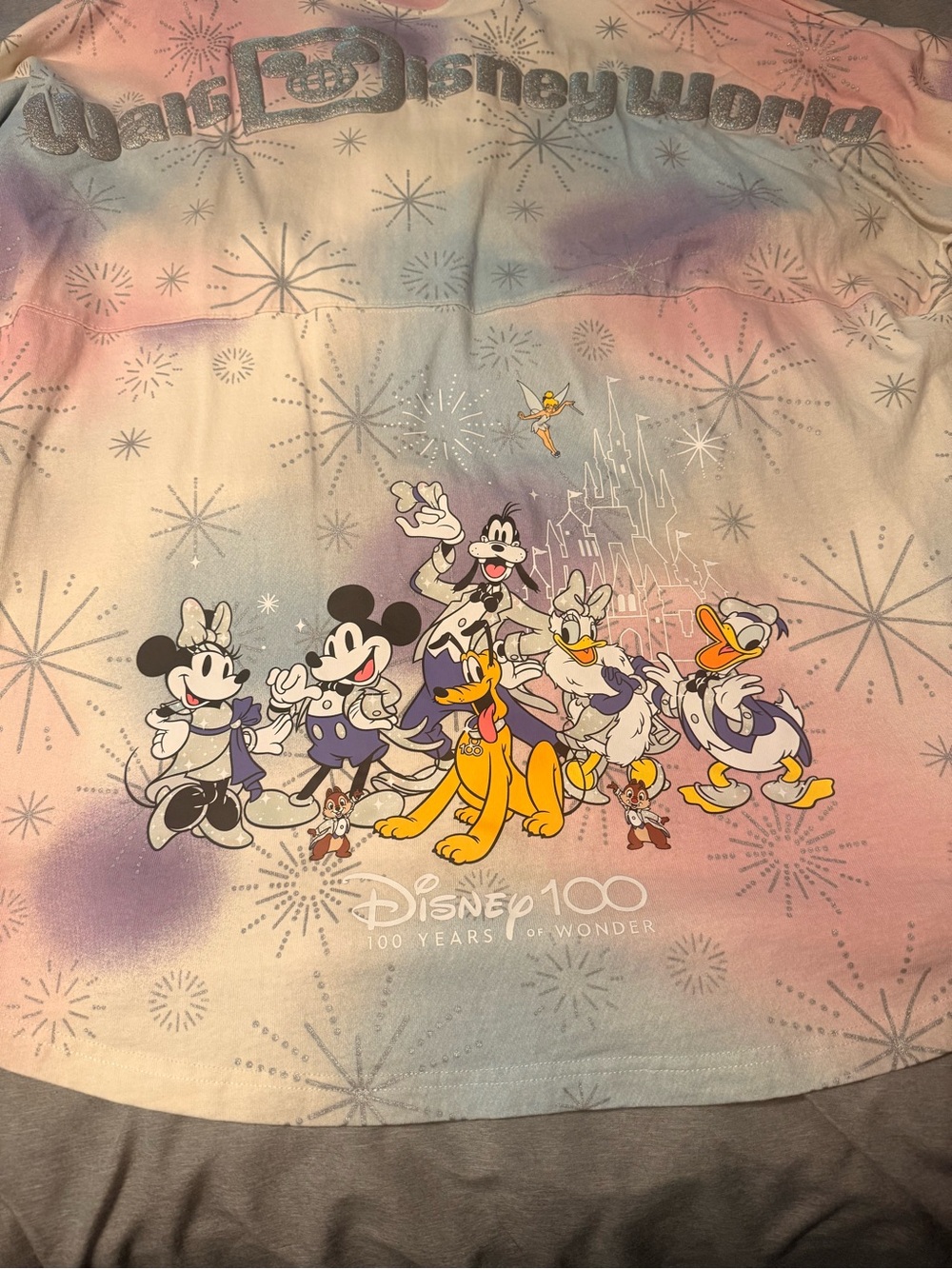 Disney’s 100th Anniversary Walt Disney World Spirit Jersey